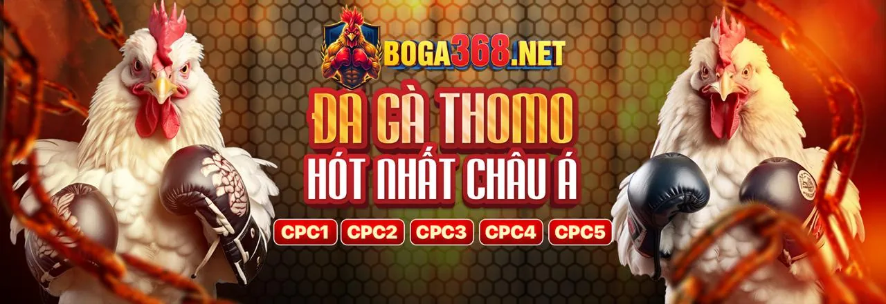 Đá gà net88 login - Trải nghiệm cá cược đỉnh cao